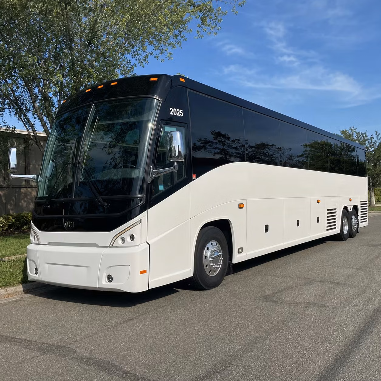 compare long distance transportation options in roswell and beyond