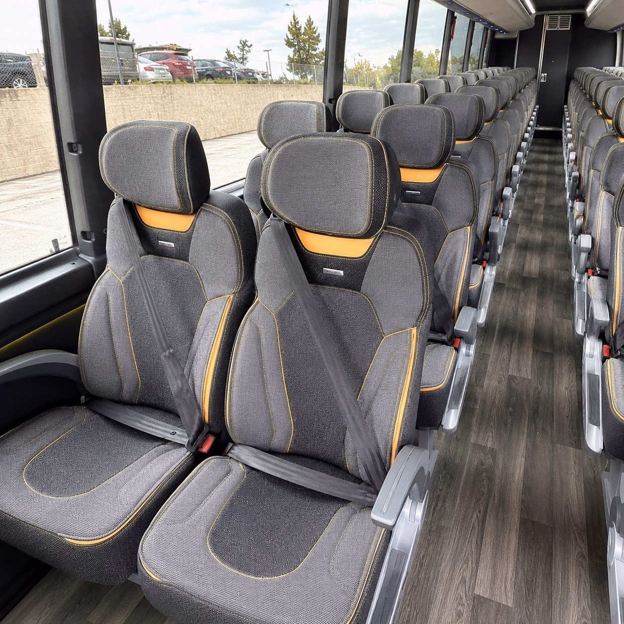 roswell long distance transportation