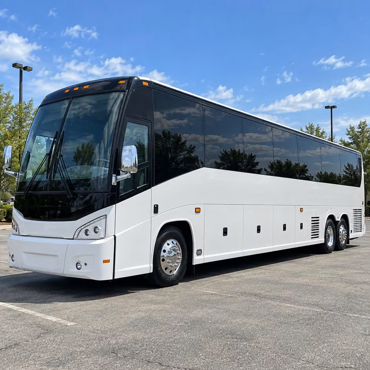 roswell youth sports and travel team transportation made easy